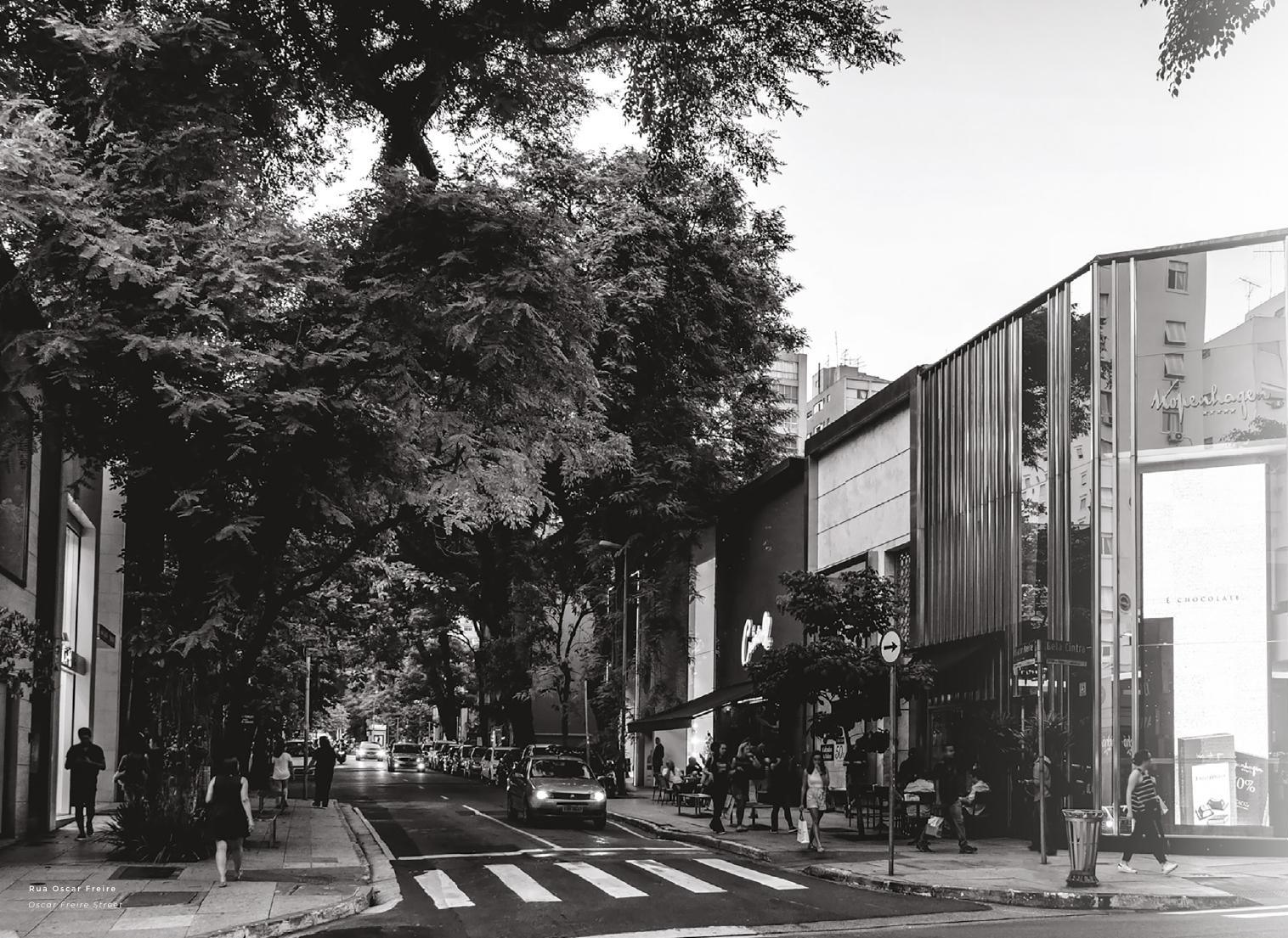 Rua arborizada dos Jardins